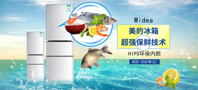 杰克逊维尔大学degree